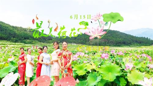 九牛坳，当荷花遇上旗袍，六月花田别样红！