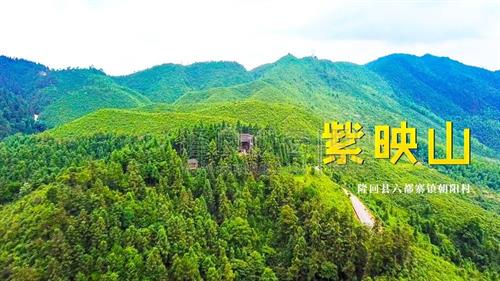 紫映山，藏于六都寨山林里的一块处女地！清幽，景美，好玩