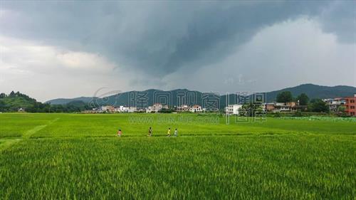 田野上奔跑的少年