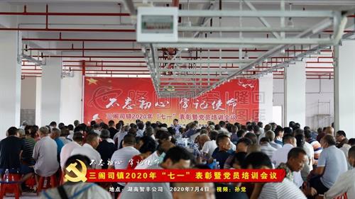 三阁司镇2020年“七一”表彰暨党员培训会议