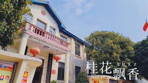 隆回二中的桂花开了，校园飘香！