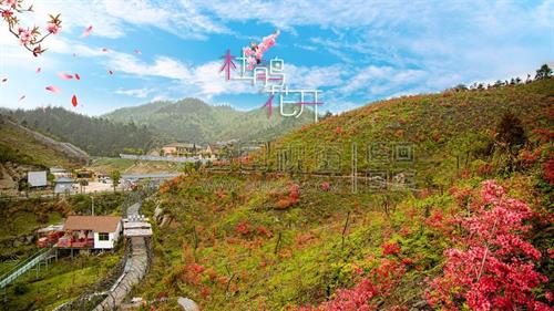 五一旅游，龙瑶幽谷杜鹃花开，漫山遍野！