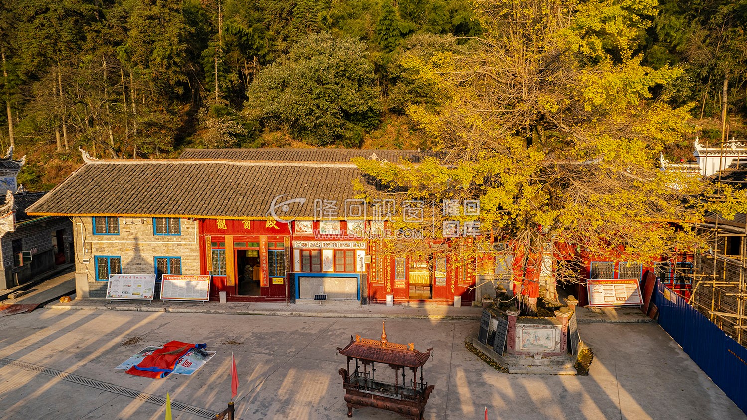 东山禅院院内的千年银杏树