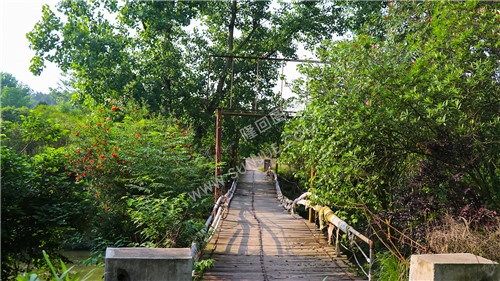 九龙休闲城-雨山铺镇