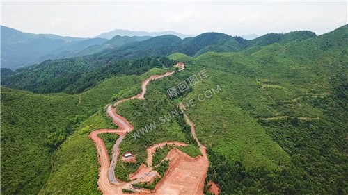 紫映山