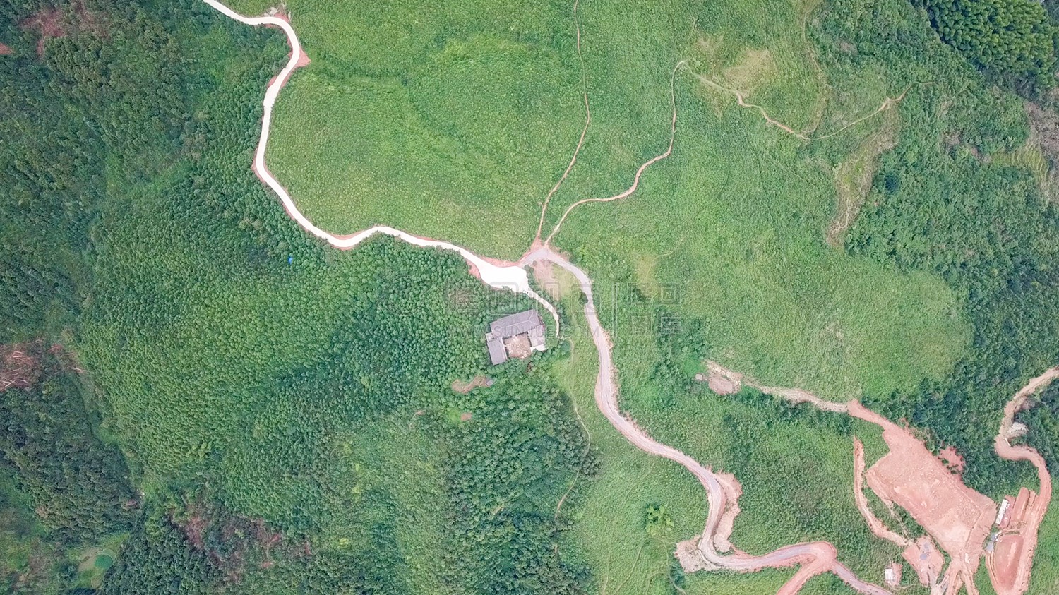 紫映山