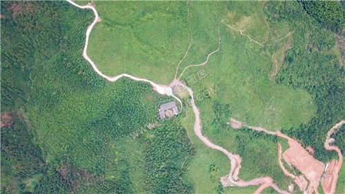 紫映山
