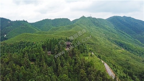 紫映山