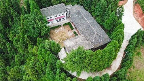 紫映山