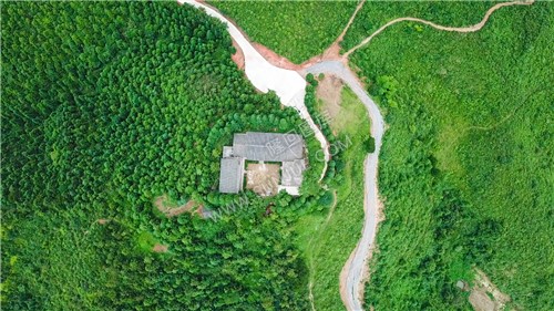 紫映山