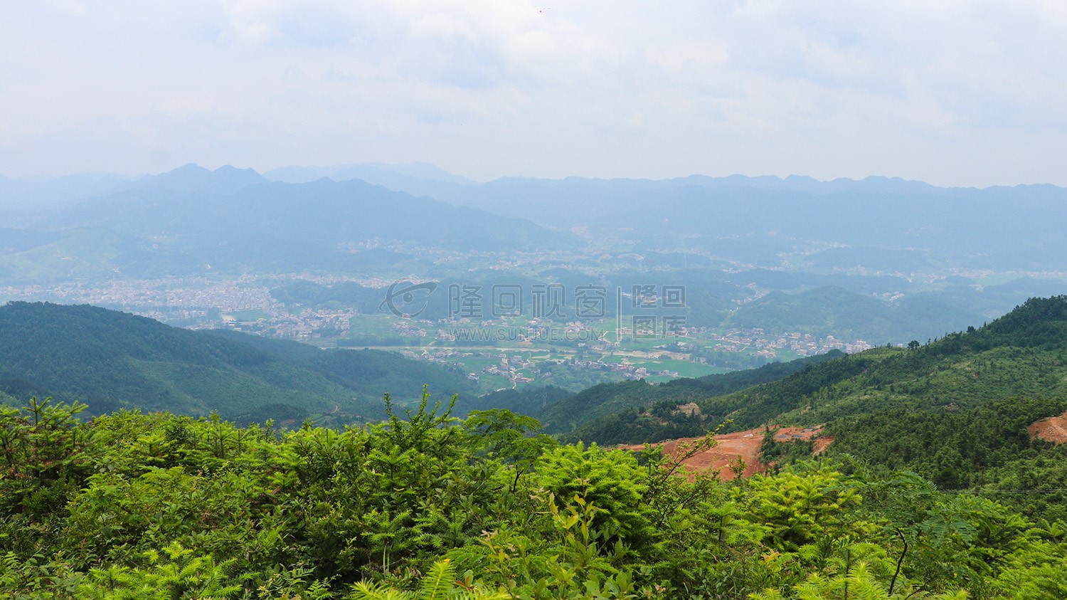 紫映山