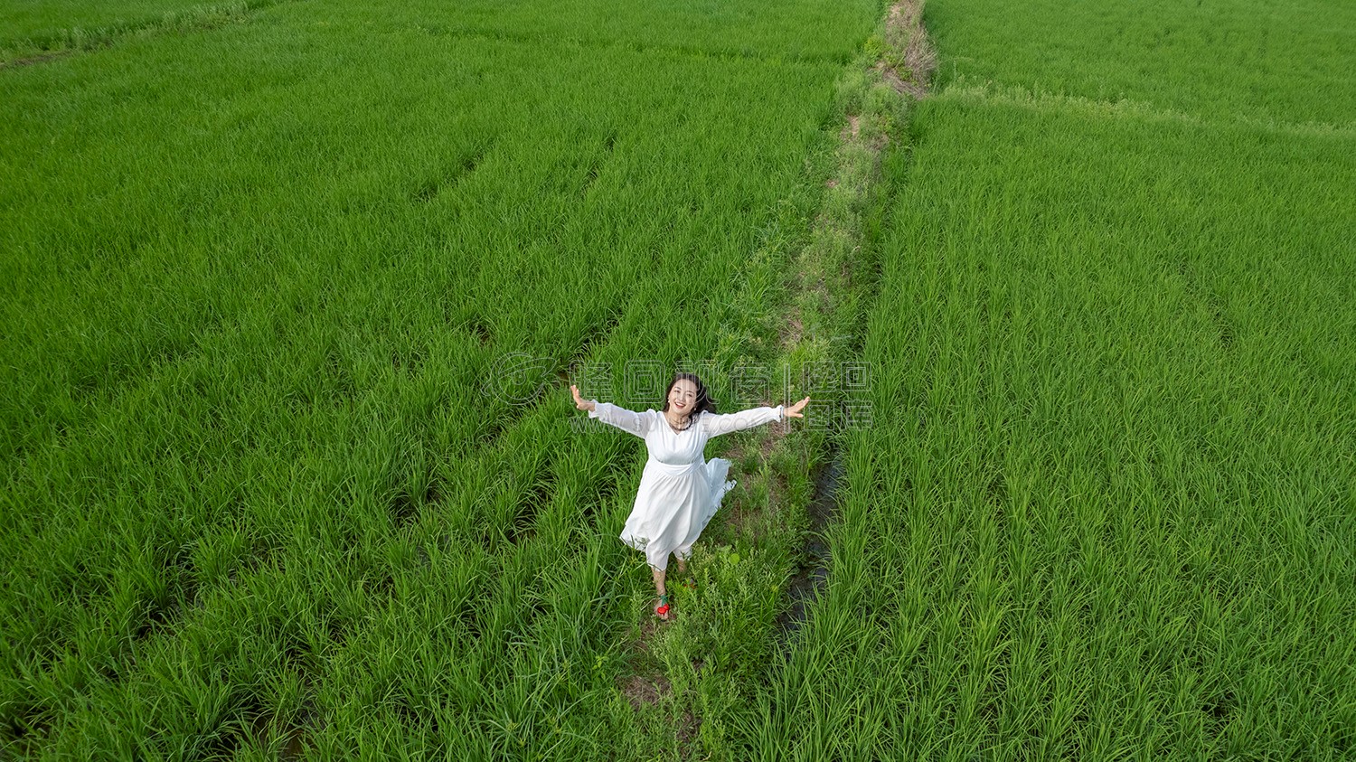 田埂上奔跑