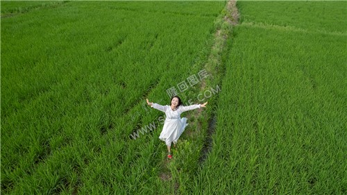 田埂上奔跑