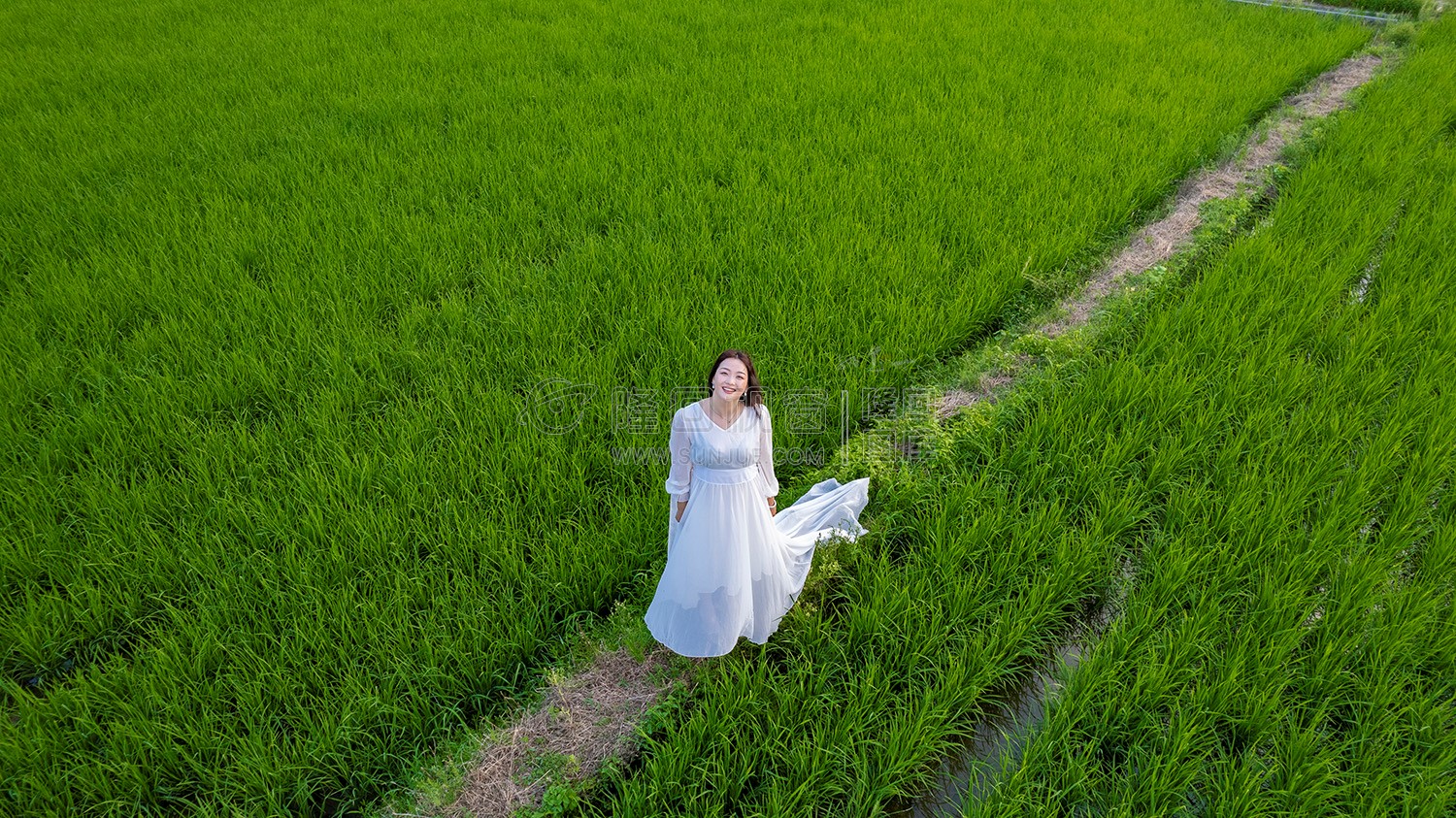 仰望蓝天