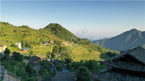 大托村村落