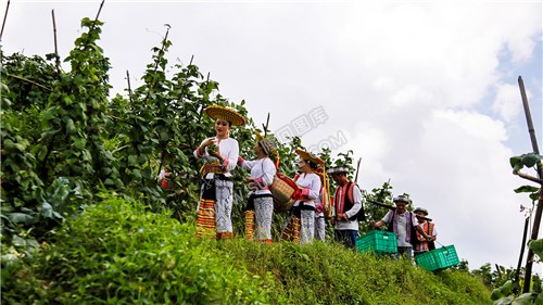 满载而归