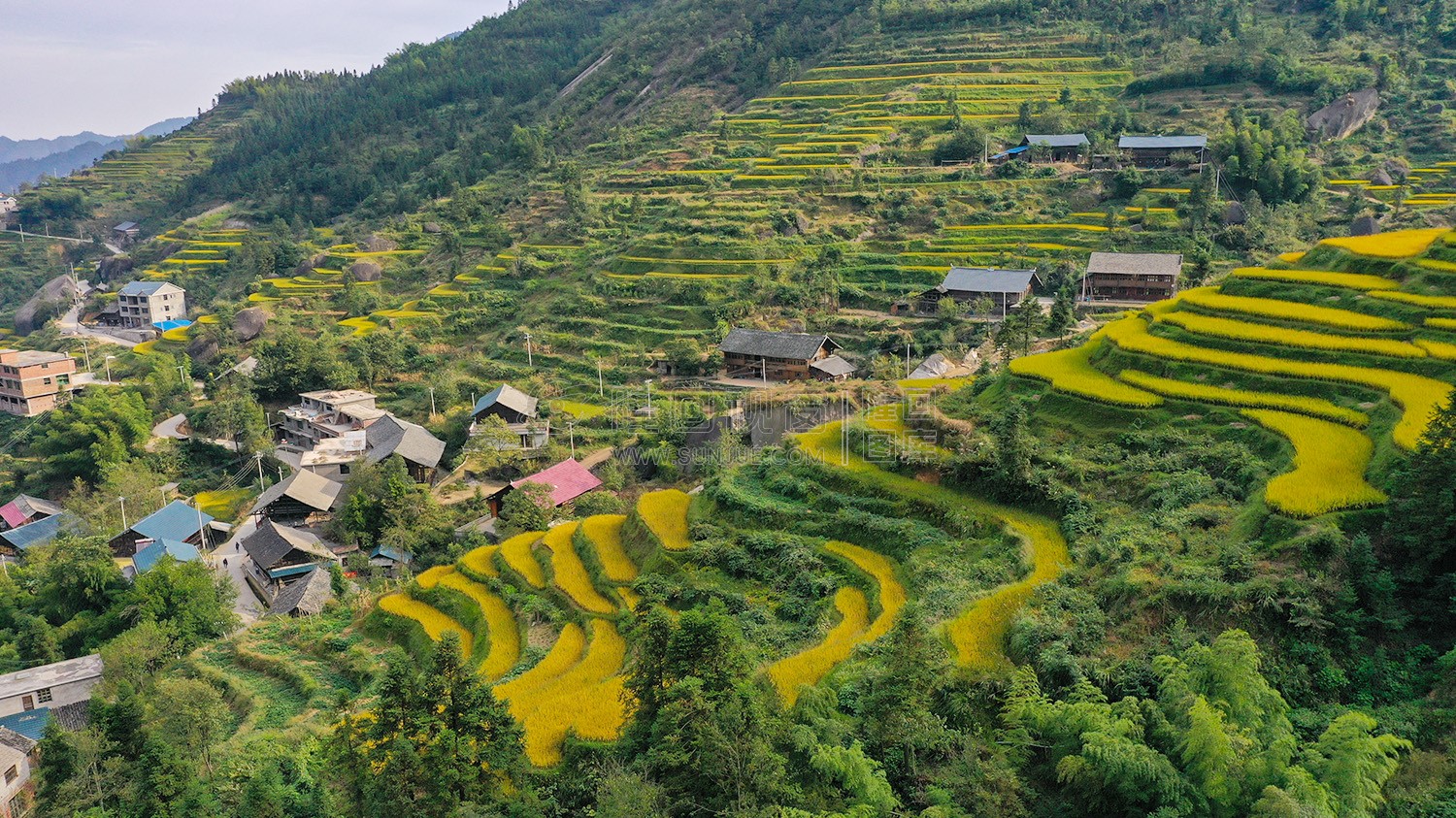 山林见的梯田