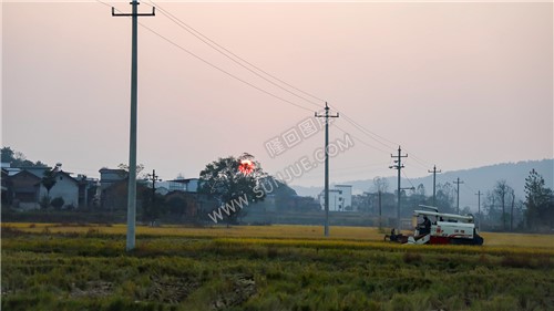 夕阳西下