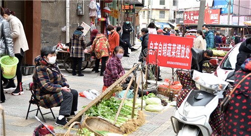 菜农