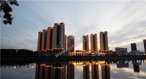 河岸夜景