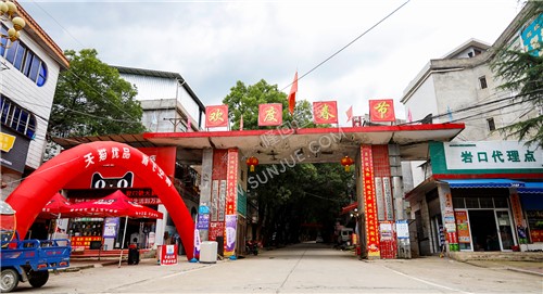 镇政府大门