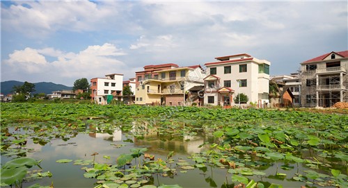 新农村