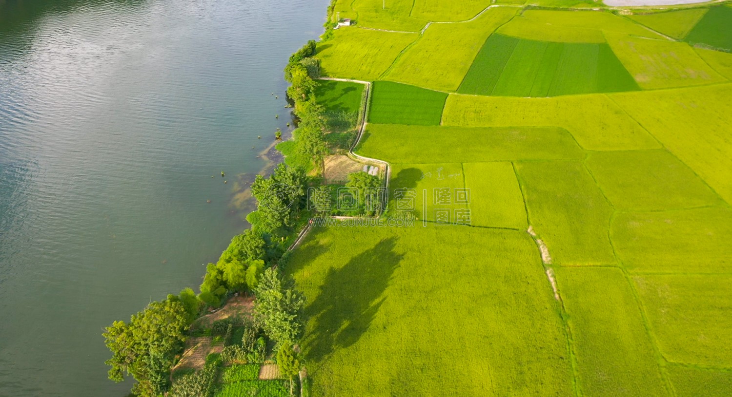 河畔风光