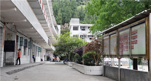 校园一角
