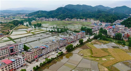 田园风光