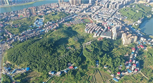 九龙学校方向
