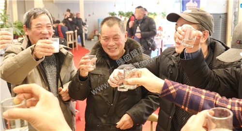 把酒言欢