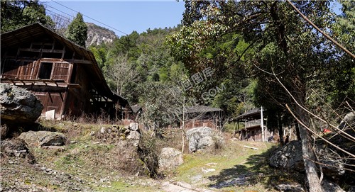 村落集中处