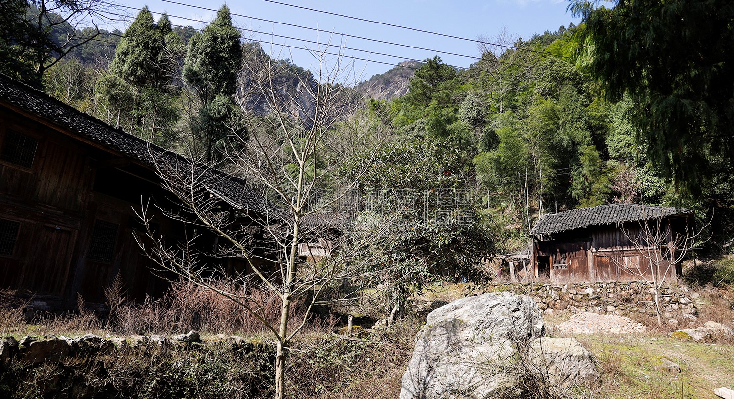 村落集中处