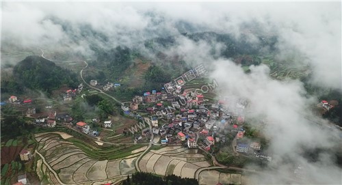 雾中村落