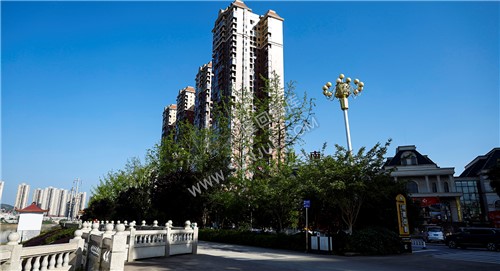 江悦城