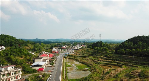 沿路村落