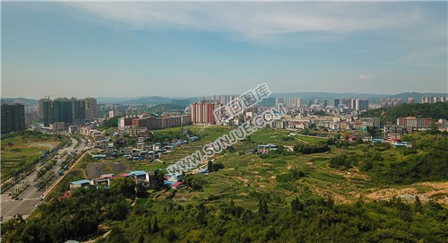 绿洲新城方向