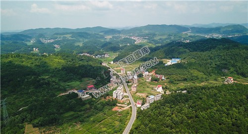 太阳冲