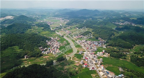 杨家桥 横丝冲院落