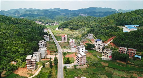 太阳冲