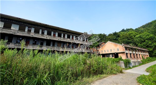 淹没杂草中的楼房