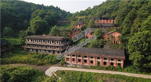红砖青瓦的老建筑，淹没在灌木丛中