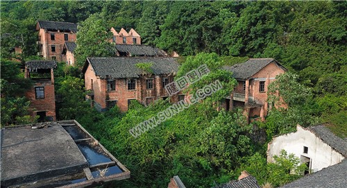 红砖青瓦的老建筑，淹没在灌木丛中