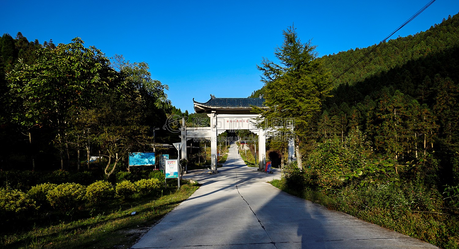 白马山林场旁