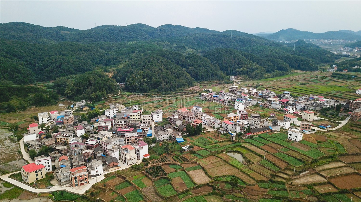 桥庄村