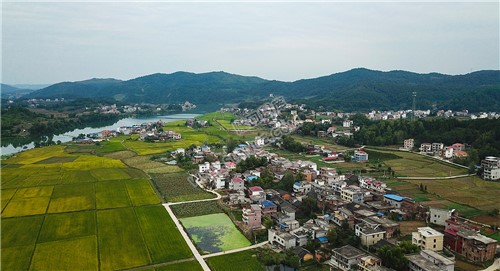 大磨洲村落