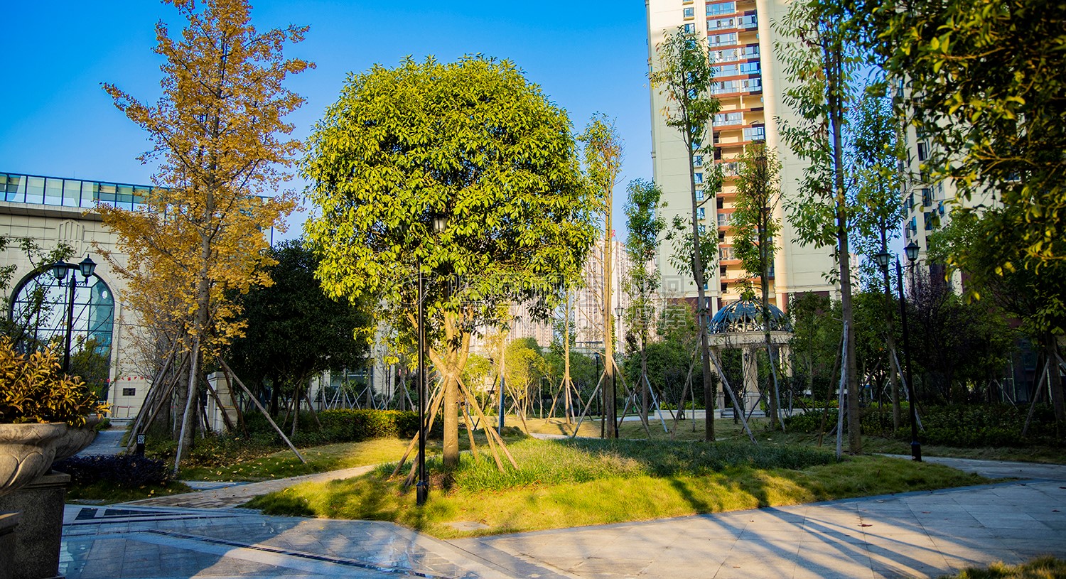 江语城小区花园秋天风景