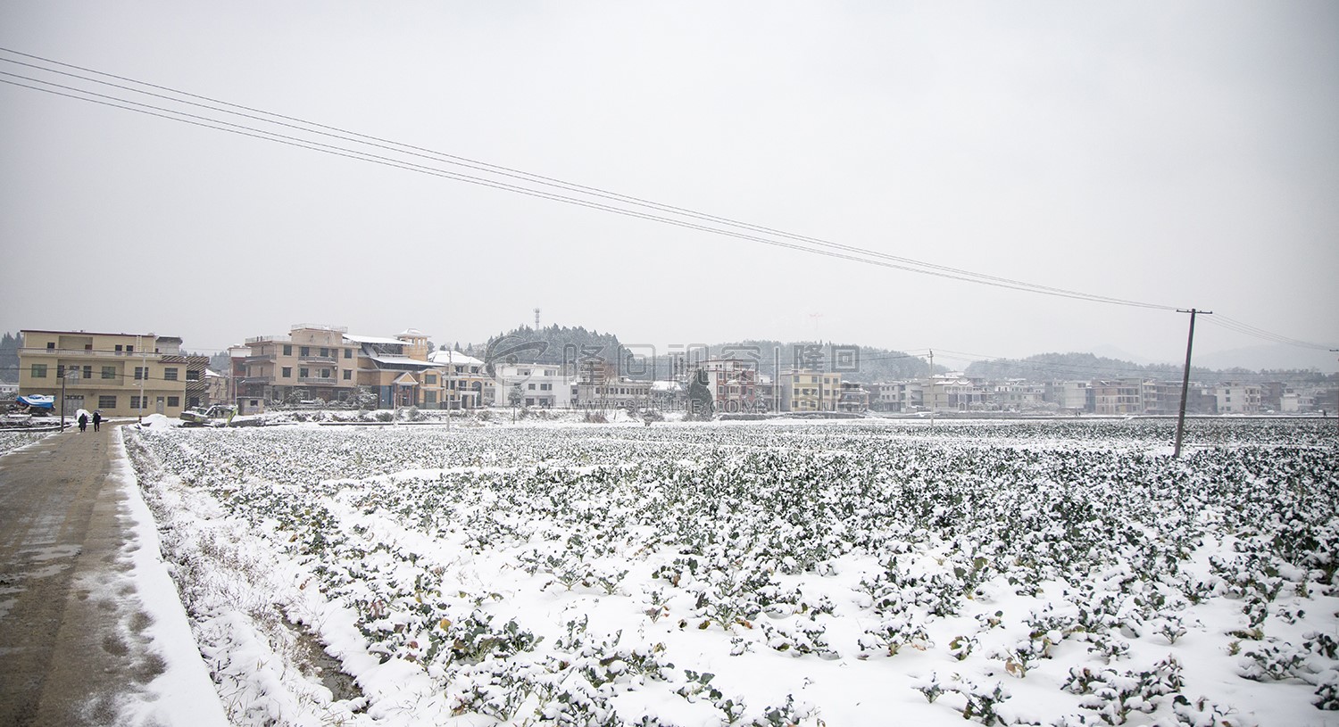 乡村雪景