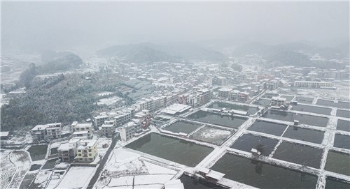 红光村渔场