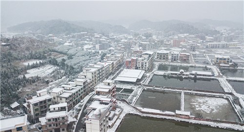 红光村渔场